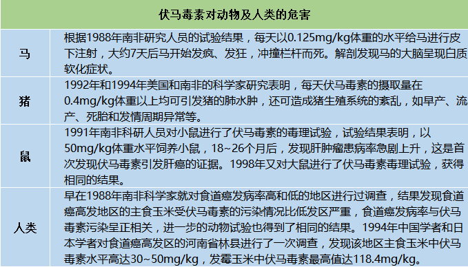 伏馬菌素對(duì)動(dòng)物及人類(lèi)的危害 伏馬菌素對(duì)動(dòng)物及人類(lèi)的危害
