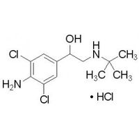克倫特羅 克倫特羅