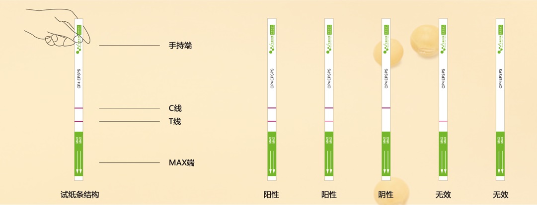 轉(zhuǎn)基因定性結(jié)果判斷 轉(zhuǎn)基因定性結(jié)果判斷