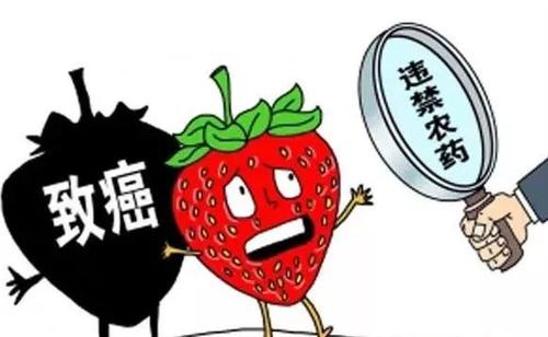 果蔬農(nóng)藥殘留 果蔬農(nóng)藥殘留