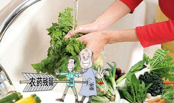 果蔬農(nóng)藥殘留 果蔬農(nóng)藥殘留