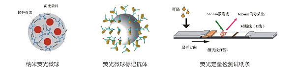 嘔吐毒素快速定量檢測卡 嘔吐毒素快速定量檢測卡