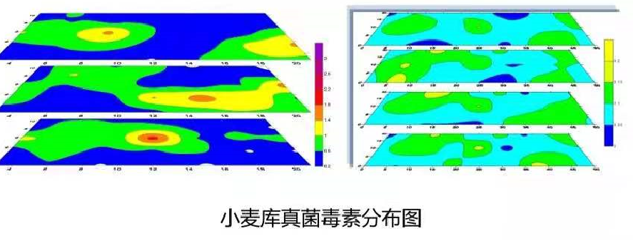 真菌毒素分布 真菌毒素分布